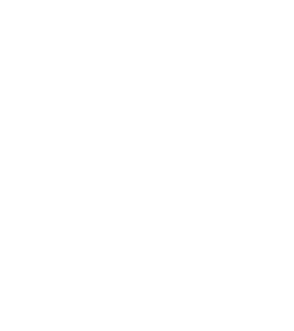 Made in perfection 1954 minta szürke pólón