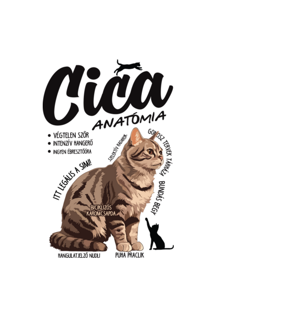 Cica anatómia cirmos minta világoskék pólón