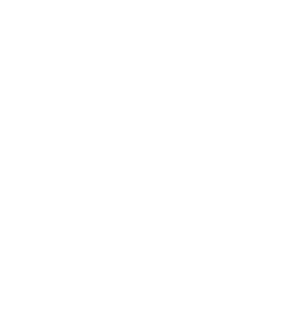 CSIHADJ BÁSTYA minta piros pólón