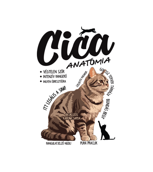 Cica anatómia cirmos minta fehér pólón