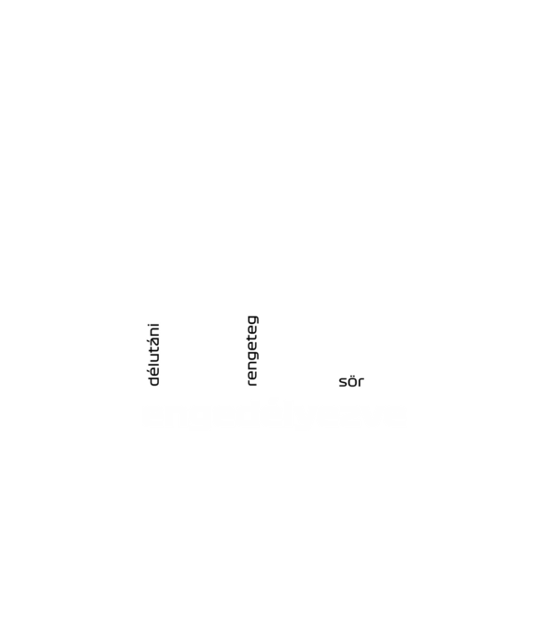 DRS engedélyezve - sör minta fekete pólón