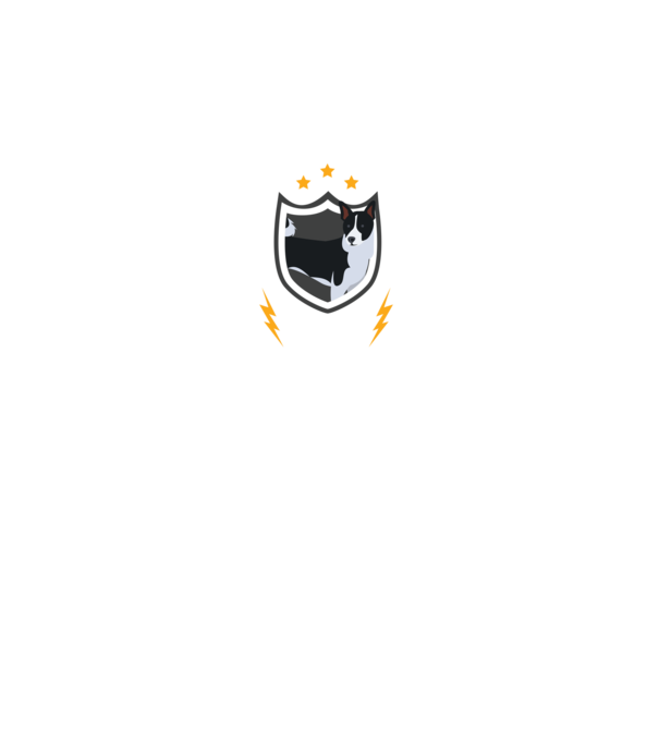 Biztonsági szolgálat husky minta fekete pólón