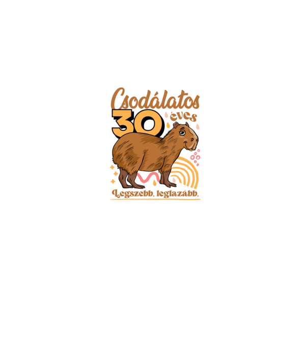Capybara 30 éves minta szürke pólón