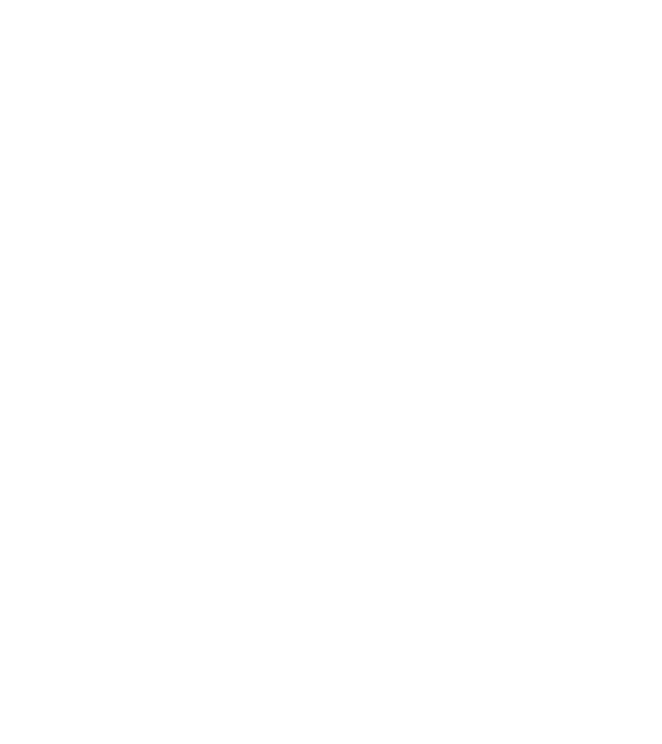 Mézelő méh felépítése fehér minta fekete pólón