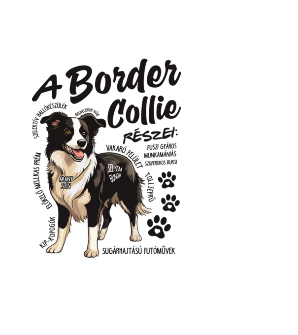 Border Collie részei minta fekete pólón