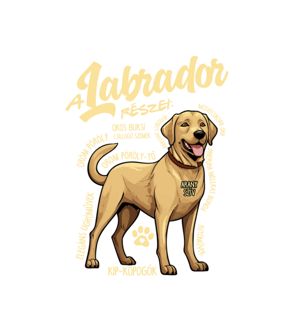 LABRADOR részei minta fehér pólón