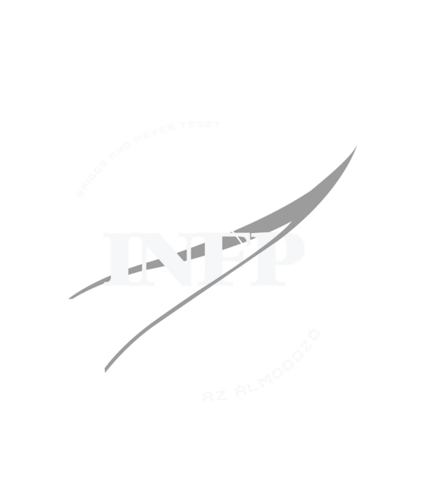16 Személyiségtipus NASA INFP AZ ÁLMODOZÓ minta fehér pólón