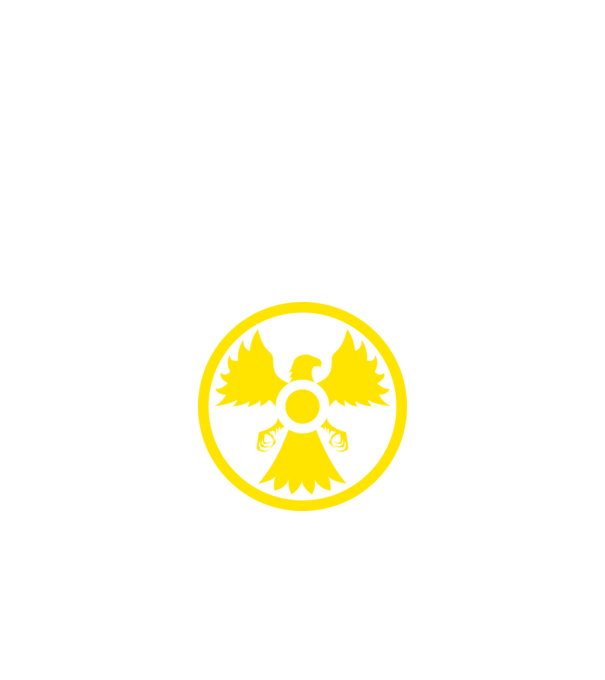 atomfőnix minta fekete pólón