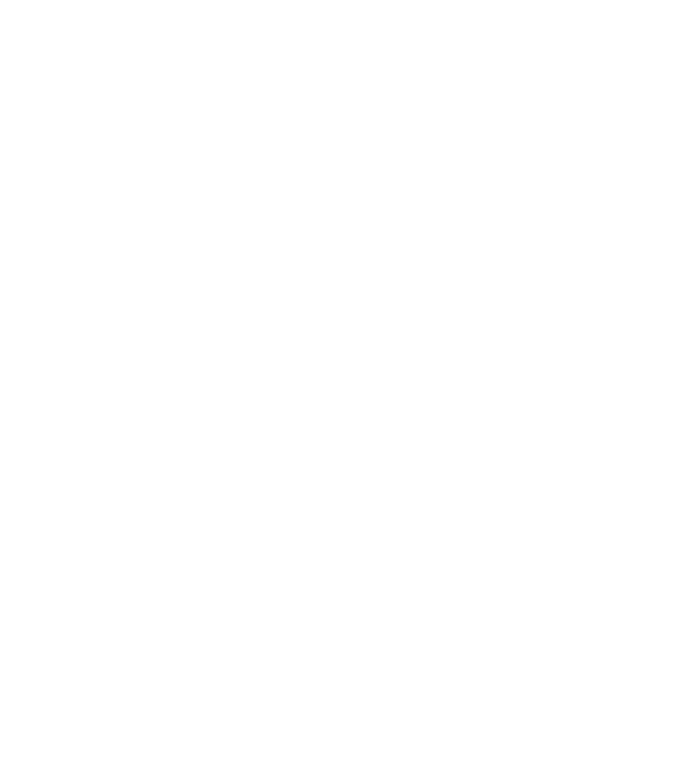 Szülinapos Crazy Cat Ladies DECEMBER minta fekete pólón