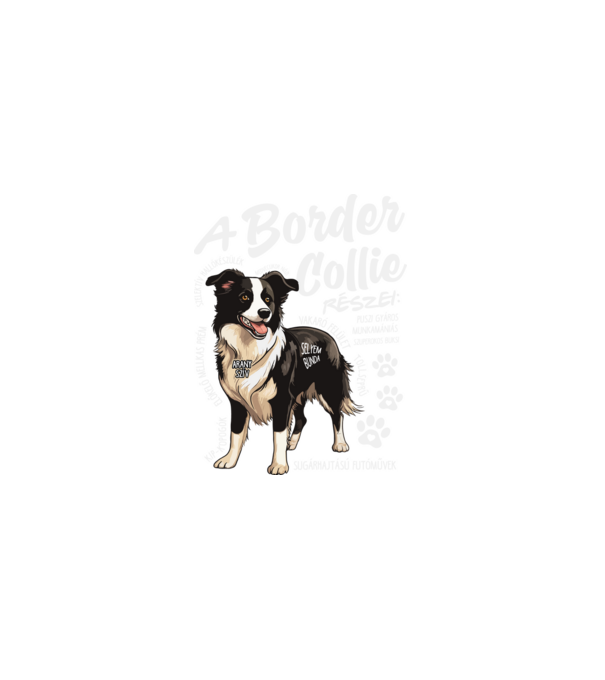 Border Collie részei minta fekete pólón