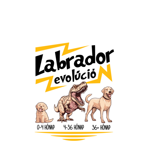 LABRADOR evolúció minta fehér pólón