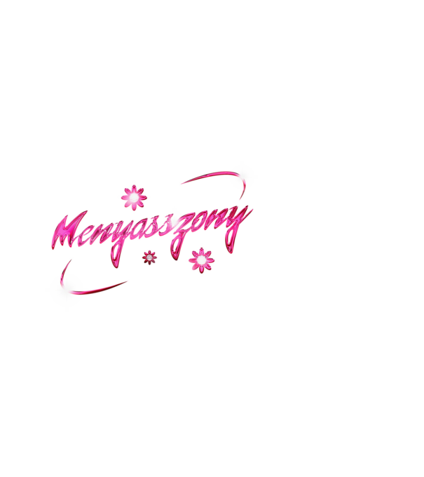 Winx Club menyasszony minta fehér pólón
