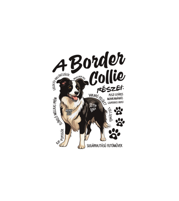 Border Collie részei minta fehér pólón