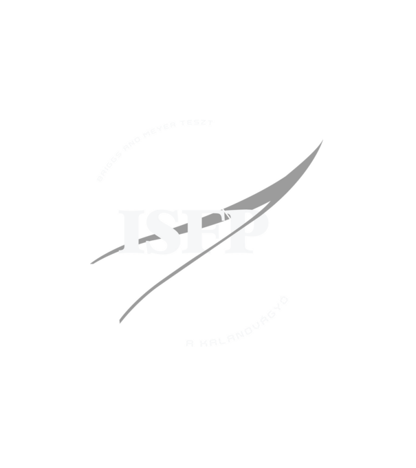 16 Személyiségtipus NASA ISFP A KALANDVÁGYÓ minta fehér pólón