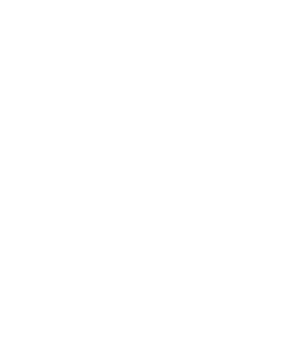 Senki sem tökéletes Border Collie minta fekete pólón