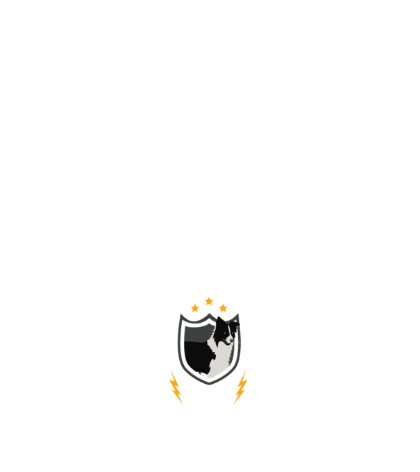 Biztonsági szolgálat border collie minta sötétkék pólón
