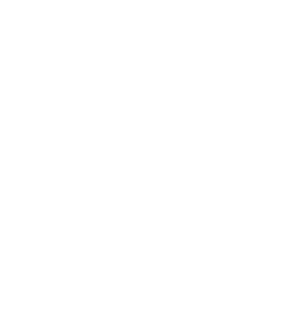 VINTAGE PERFECTION 2005 minta fehér pólón