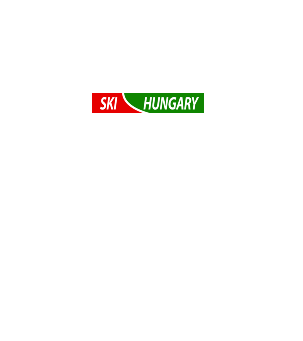 SkiHungary sima minta szürke pólón
