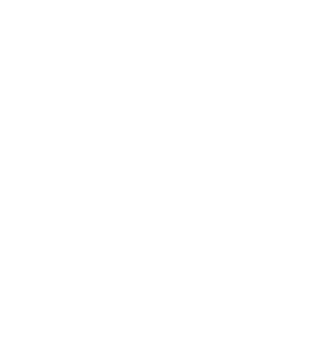 VINTAGE PERFECTION 2005 minta fekete pólón