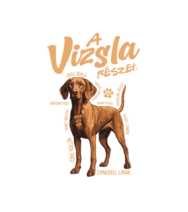 Vizsla részei minta fehér pólón