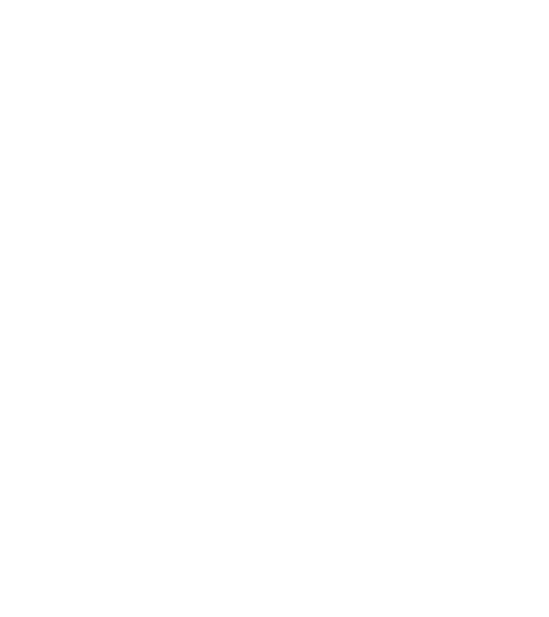 VINTAGE PERFECTION 2015 minta fekete pólón