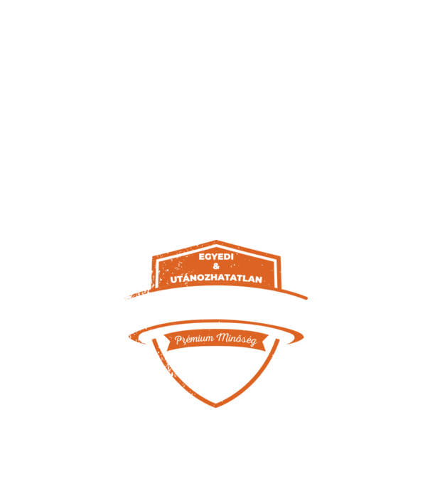 Egyedi és utánozhatatlan VÍZILABDÁS minta fekete pólón