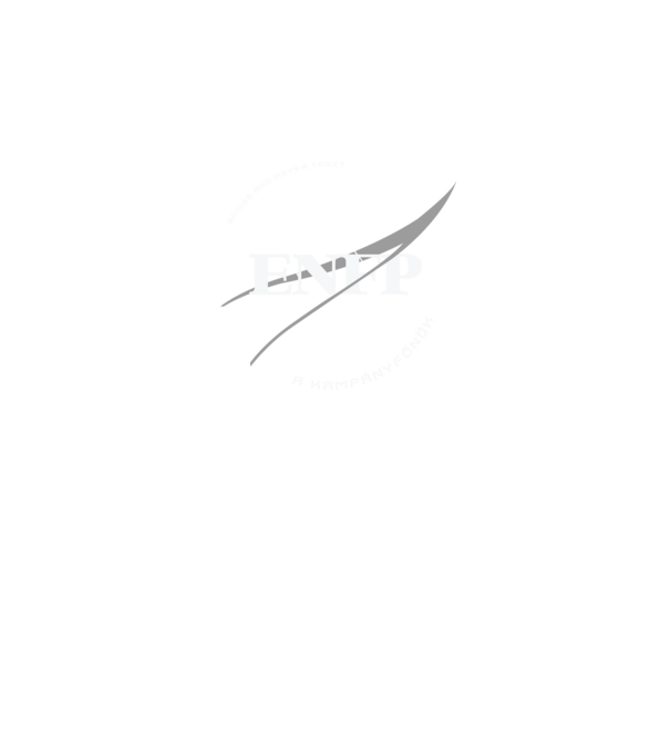 16 Személyiségtipus NASA ENFP minta fekete pólón