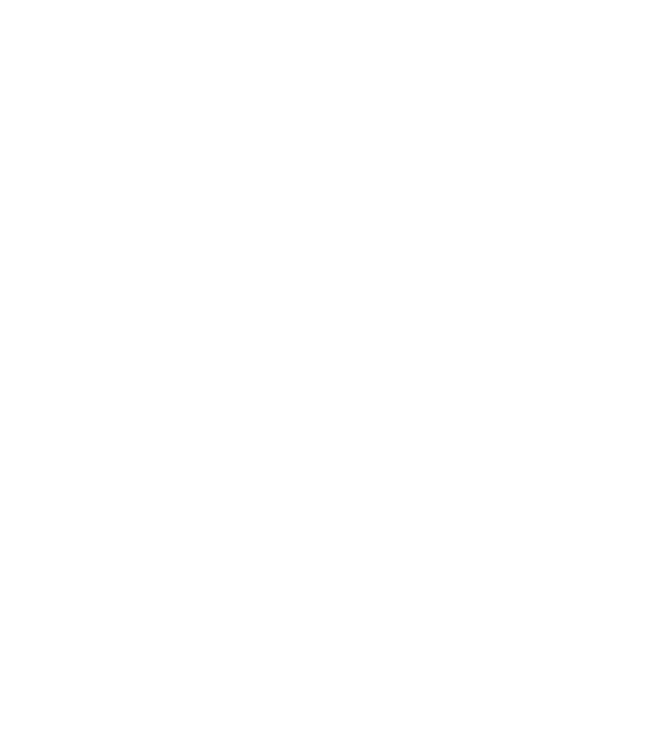 osensei-aikido-technic-1color minta narancssárga pólón