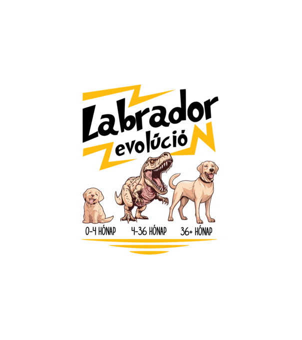 LABRADOR evolúció minta fehér pólón