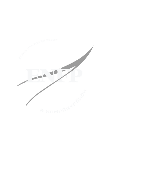 16 Személyiségtipus NASA ENFP minta fekete pólón