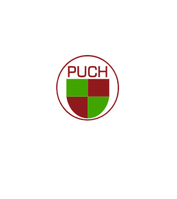 Puch minta szürke pólón