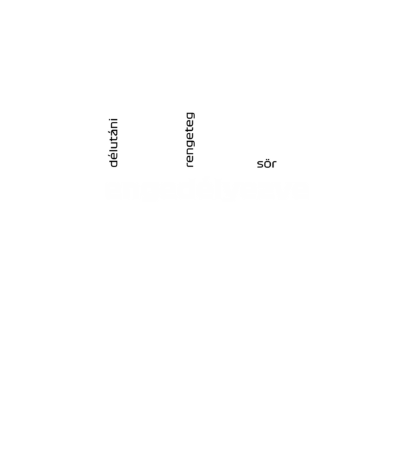 DRS engedélyezve - sör minta fekete pólón