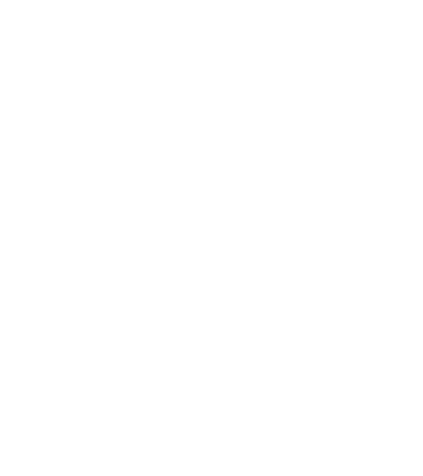 Alive since 2009 minta fekete pólón