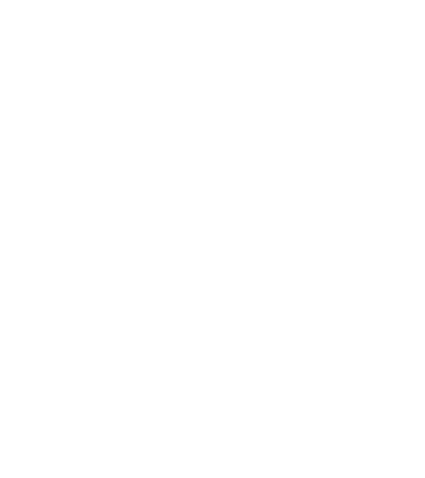 VINTAGE PERFECTION 2005 minta fehér pólón