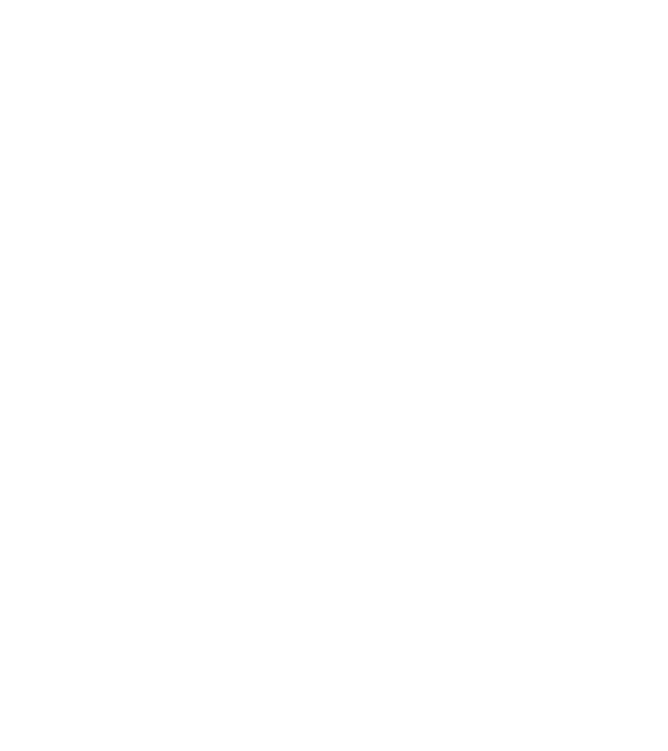 CSIHADJ BÁSTYA minta piros pólón