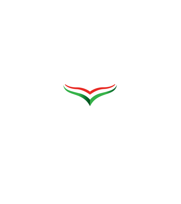 Így néz ki egy igazi Hungarikum minta fekete pólón