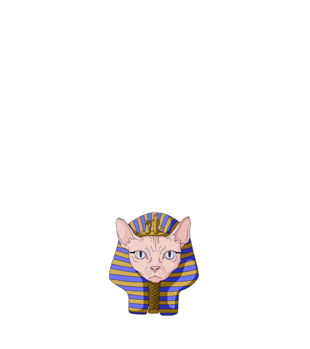 sphynx cat pharaoh minta fehér pólón