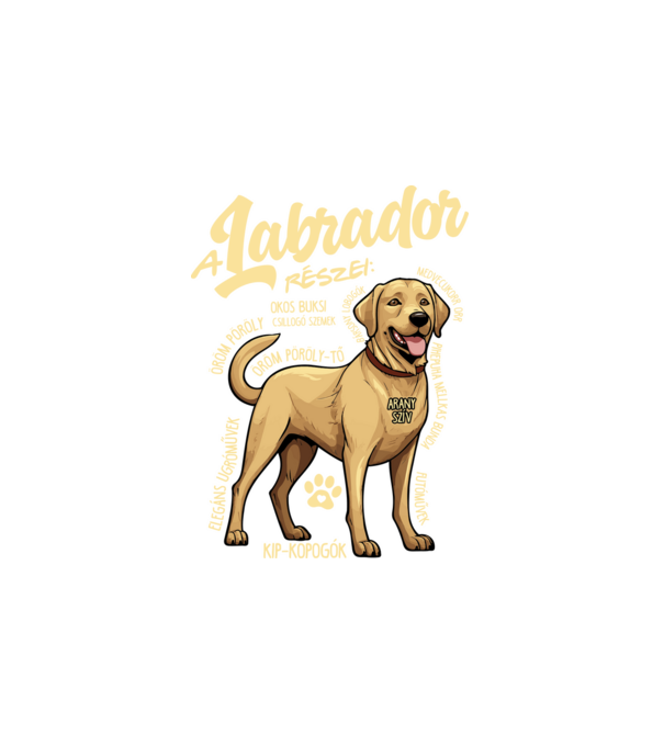 LABRADOR részei minta fehér pólón