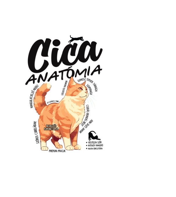 Cica anatómia vörös minta világoskék pólón