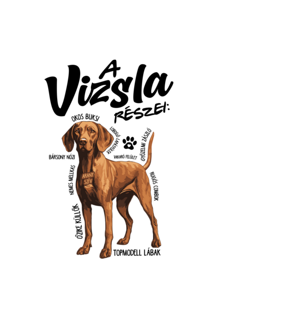 Vizsla részei minta világoskék pólón