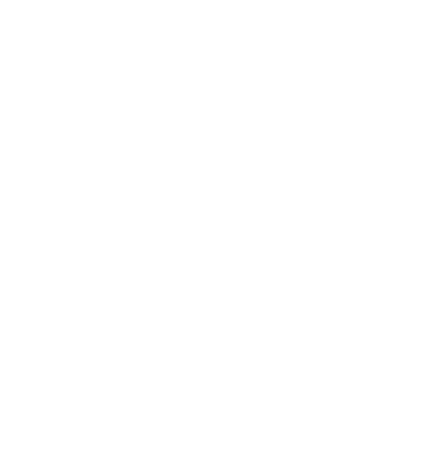 Heartbeat line Border Collie minta fekete pólón