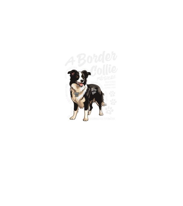 Border Collie részei minta fekete pólón