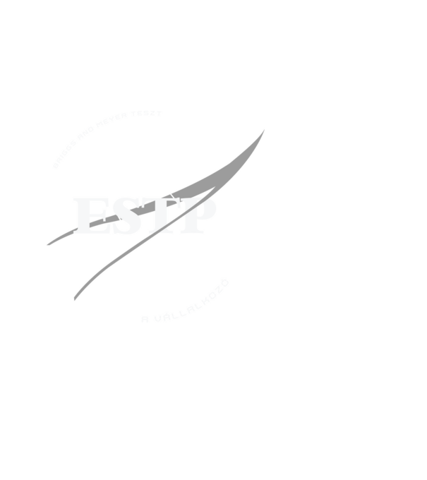 16 Személyiségtipus NASA ESTP A VÁLLALKOZÓ minta fekete pólón