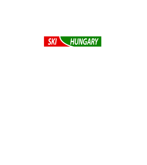 SkiHungary sima minta szürke pólón