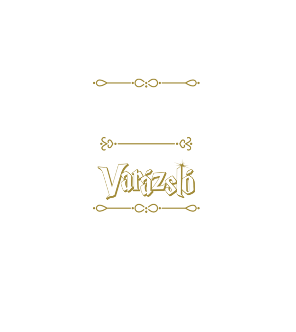 Gyógyszerész vagyok nem varázsló minta fekete pólón