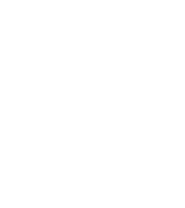 Senki sem tökéletes Vizsla minta fekete pólón