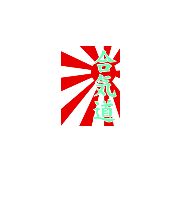 aikido-kanji7 minta fekete pólón