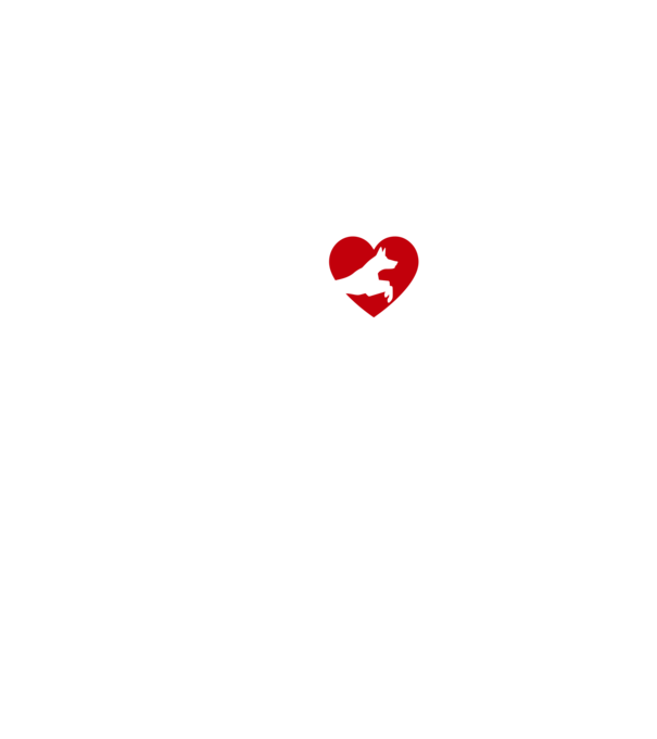 Kutyás sportos srác minta fekete pólón