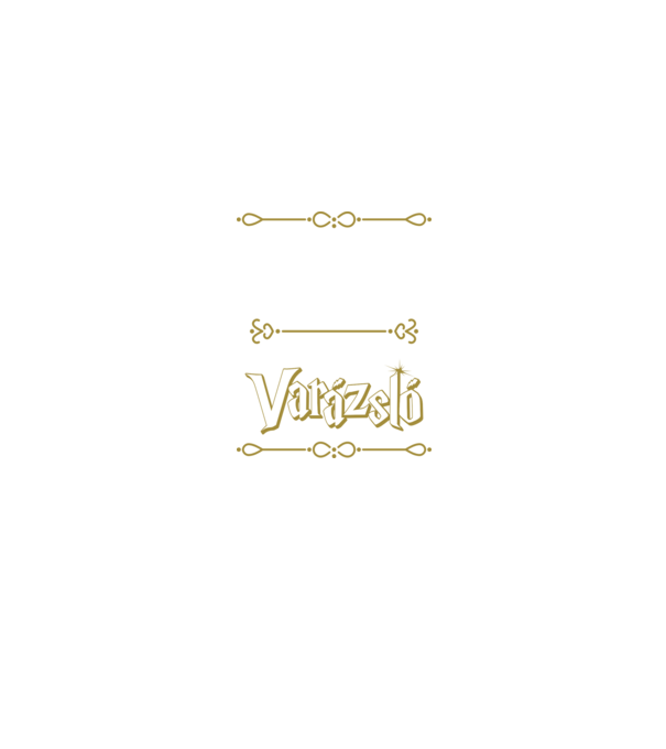 Gyógyszerész vagyok nem varázsló minta fekete pólón