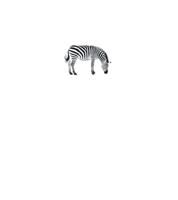 Zebra minta fehér pólón